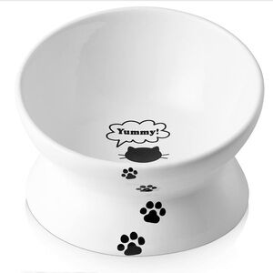 Raised ceramic cat dish